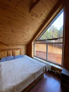 Magic Wood - 114