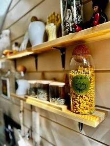 Дикая земля - 33