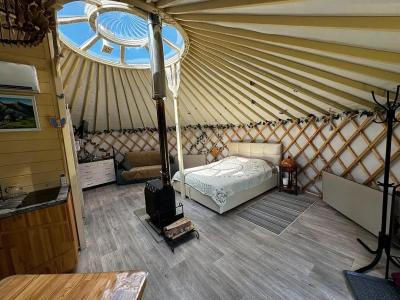 Дикая земля - 39