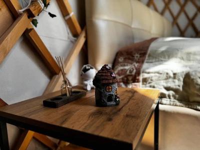 Дикая земля - 34