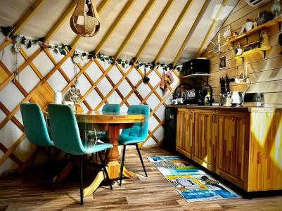 Дикая земля - 23