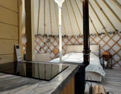 Дикая земля - 38