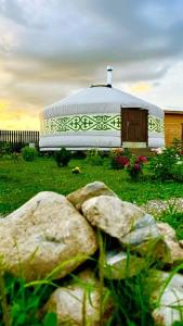 Дикая земля - 21