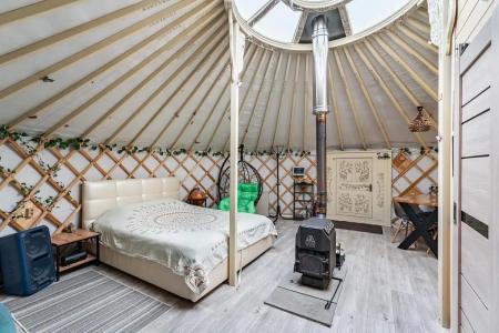 Дикая земля - 42