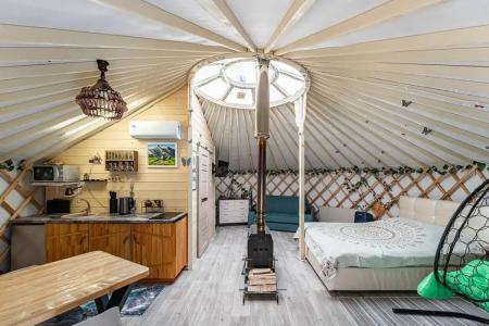 Дикая земля - 37