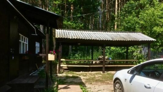 Big Fish Village - 7