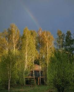 Лапочкино гнездо - 38