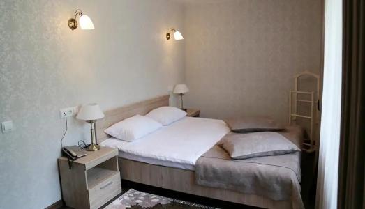 Ленёвка - 110