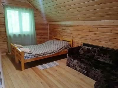 Стрелинка - 216