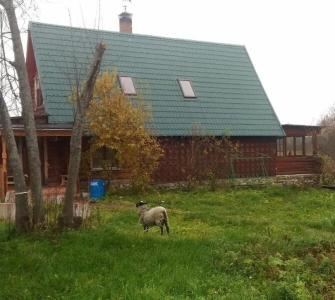 Усадьба на реке Лух - 1