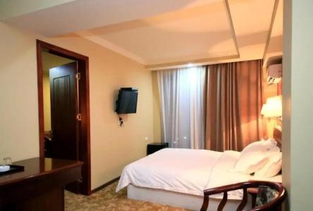 Borjomi Palace Health & Spa Center - 45