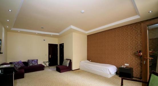 Borjomi Palace Health & Spa Center - 47