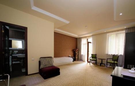 Borjomi Palace Health & Spa Center - 49