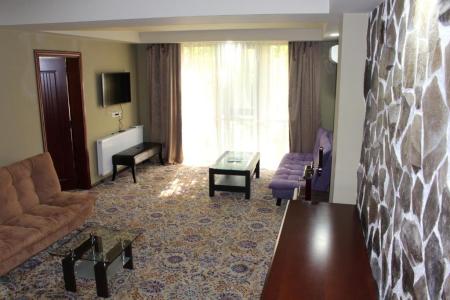 Borjomi Palace Health & Spa Center - 53