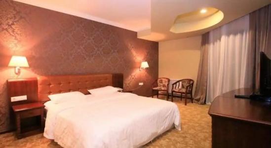 Borjomi Palace Health & Spa Center - 61