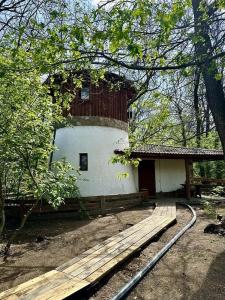 Репино - 131