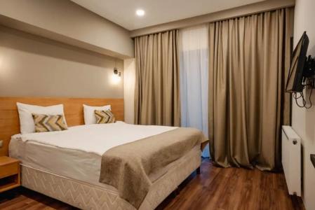 Bakuriani Inn - 71
