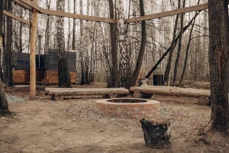 Forest story - 70