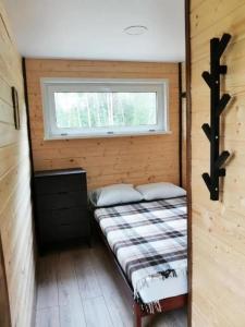 Efimov Glamp - 44