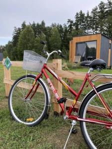 Efimov Glamp - 46