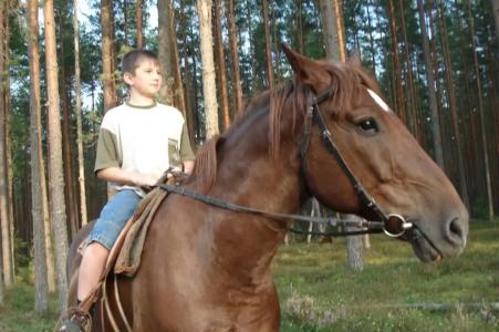 Боровое - 89