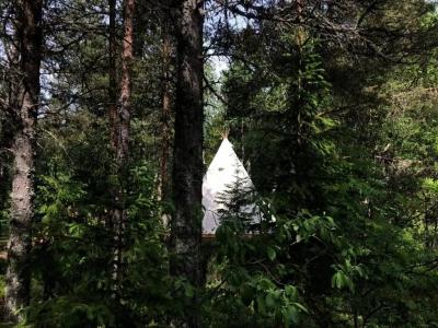 Глэмпинг Типи на берегу Белого моря - 17