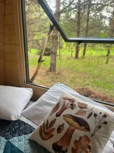 Грибная Находка - 44