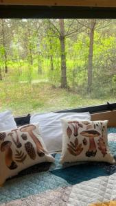 Грибная Находка - 47