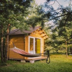 Грибная Находка - 51