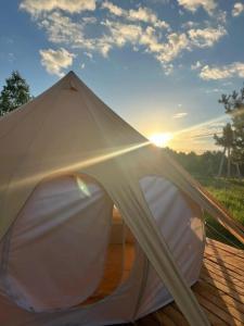 Грибная Находка - 52