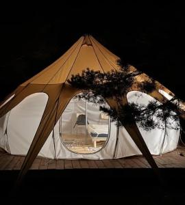 Грибная Находка - 53