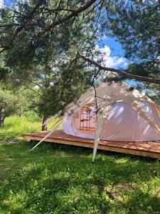 Грибная Находка - 54