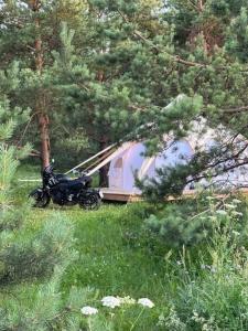 Грибная Находка - 55