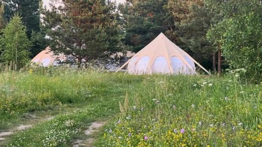 Грибная Находка - 56