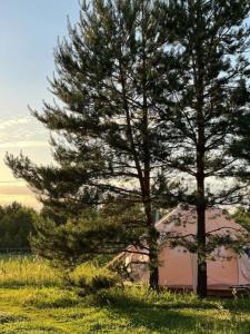 Грибная Находка - 57