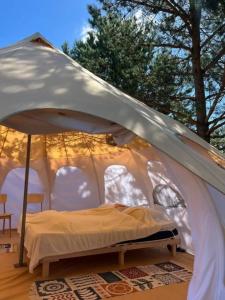 Грибная Находка - 58