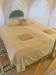 Грибная Находка - 59