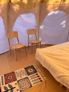 Грибная Находка - 62