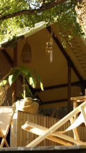 Дана - 41