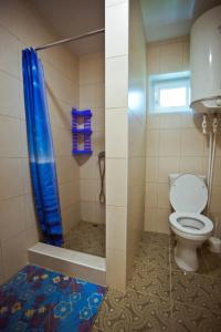 Сосновый бор - 137