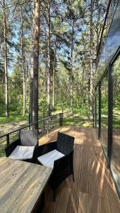 Magic Wood - 77