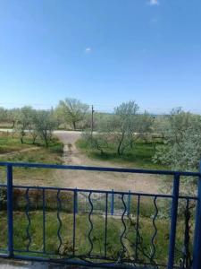 Вирджиния - 33
