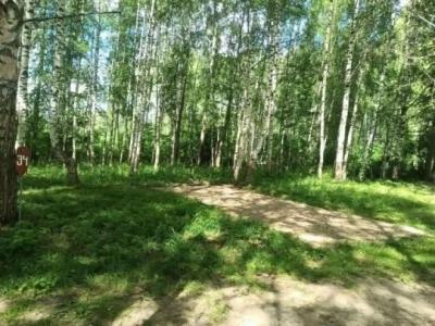 Мышгород - 176