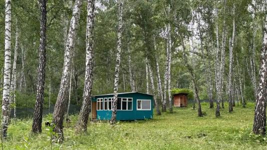Зеленая поляна - 47