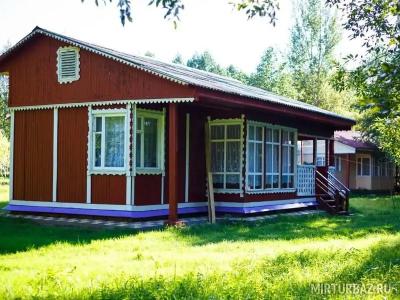 Боровик - 4