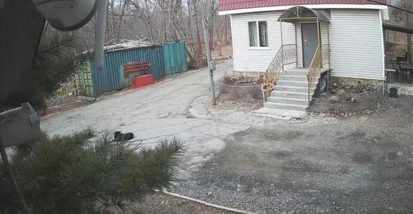 Садко - 50
