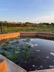 Family Sup & Glamping - 33