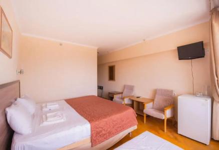 Горизонт - 104