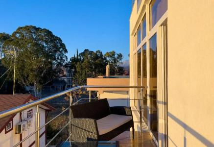 Берег эвкалиптов - 39