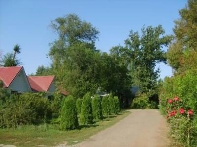 Дубравушка - 21